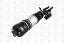 Focus Auto Parts Air Suspension Strut 99052 - view 3