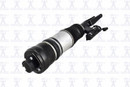 Focus Auto Parts Air Suspension Strut 99053 - view 3