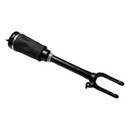 Focus Auto Parts Air Suspension Strut 99055 - view 2