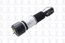 Focus Auto Parts Air Suspension Strut 99067 - view 3