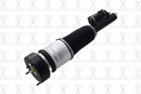 Focus Auto Parts Air Suspension Strut 99069 - view 3