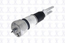 Focus Auto Parts Air Suspension Strut 99076 - view 4