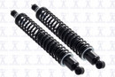 Focus Auto Parts Suspension Shock Absorber and Coil Spring Assembly SC00012 - view 2