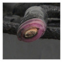 Four Seasons A/C Compressor 67383 - view 6