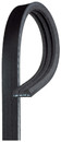 Gates Serpentine Belt K030431
