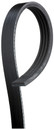 Gates Serpentine Belt K040675