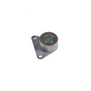 INA US Engine Timing Idler ZP03171