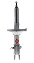 KYB Suspension Strut 5510022