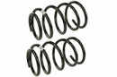 Mevotech Supreme Coil Spring Set SMS30024