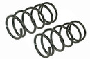 Mevotech Supreme Coil Spring Set SMS81621