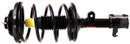 Monroe Shocks & Struts Suspension Strut and Coil Spring Assembly