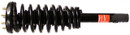 Monroe Shocks & Struts Suspension Strut and Coil Spring Assembly