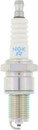 NGK NGK Standard Carded Spark Plug 6773