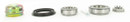 SKF Wheel Bearing and Seal Kit WKH529