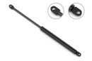 Stabilus Liftgate Lift Support 4B-5238NZ