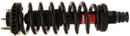 Monroe Shocks & Struts Suspension Strut and Coil Spring Assembly