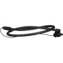 Standard Ignition Liftgate Latch Release Switch DLA1552 - view 3
