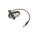Standard Ignition Door Jamb Switch DS-498