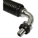 Standard Ignition Engine Oil Hose OPH1 - view 2