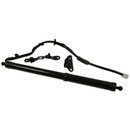 Standard Ignition Liftgate Actuator PLA102