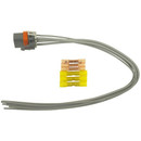 Standard Ignition Headlight Switch Connector,Radio Power Connector,Window Motor Connector S-1361