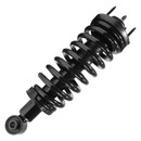 Unity Automotive Suspension Strut and Coil Spring Assembly 11800