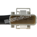 Walker Products Oxygen Sensor 250-241090 - view 4