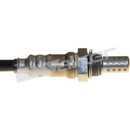 Walker Products Oxygen Sensor 250-241186 - view 4