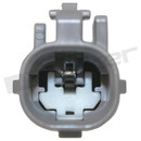 Walker Products Oxygen Sensor 350-31043 - view 4