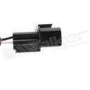 Walker Products Oxygen Sensor 350-34081 - view 4