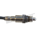 Walker Products Oxygen Sensor 350-341024 - view 2