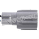 Walker Products Oxygen Sensor 350-64024 - view 3