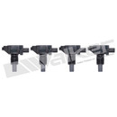 Walker Products Ignition Coil Set 928-4072-4