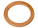 Raybestos Brakes Banjo Washer