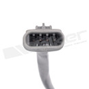Walker Products Oxygen Sensor 350-34966 - view 2