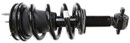 Monroe Shocks & Struts Suspension Strut and Coil Spring Assembly 239112