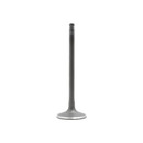 DNJ Engine Intake Valve IV353