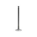 DNJ Engine Intake Valve IV121
