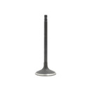 DNJ Engine Intake Valve IV638
