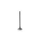 DNJ Engine Intake Valve IV828