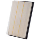 Premium Guard Engine Air Filter PA99282