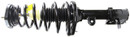 Monroe Shocks & Struts Suspension Strut and Coil Spring Assembly 172221