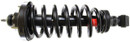 Monroe Shocks & Struts Suspension Strut and Coil Spring Assembly 271125