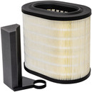 Baldwin Engine Air Filter PA10061