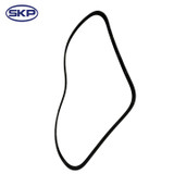SKP Serpentine Belt P/N:SK060494