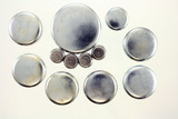 Pioneer Automotive Industries Engine Expansion Plug Kit P/N:PE-166-R