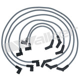 Walker Products Spark Plug Wire Set 924-1608 - view 2