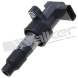 Walker Products Ignition Coil Set P/N:928-4086-6