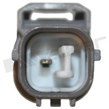 Walker Products Oxygen Sensor 350-31002 - view 2