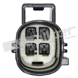 Walker Products Oxygen Sensor 350-64107 - view 2